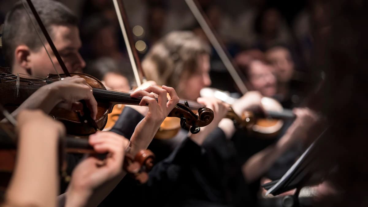 Violin section of an orchestra